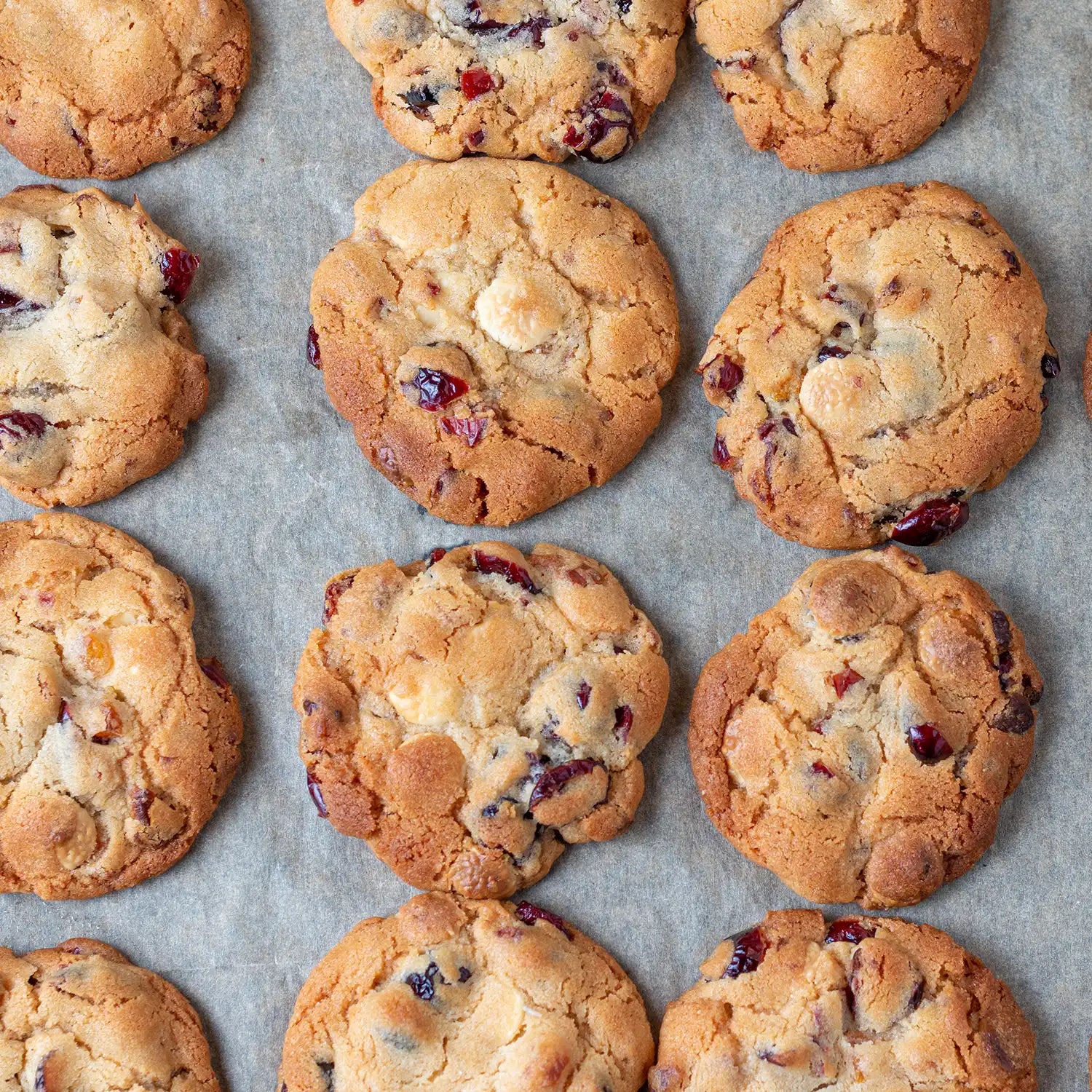 Sweet - Cranberry Biscuit
