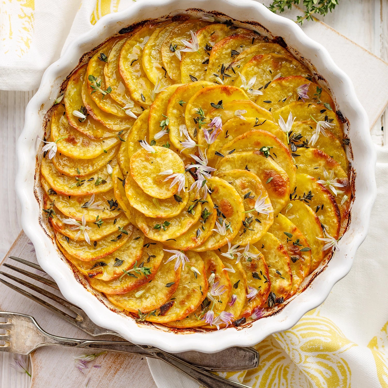 Buffet - Süßkartoffelgratin mit gegrilltem Ziegenkäse,Honig und Sesam. 12 Stück